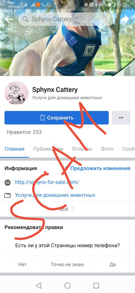 ‼️Attention ‼️ Sphynx Scammers